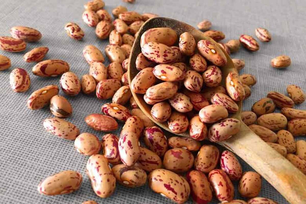 لوبیا چیتی